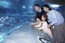 Immersive Octopod attraction opened at SEA LIFE Shanghai