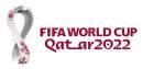 Men’s FIFA World Cup stadiums in Qatar could be alcohol-free