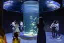 Lotte World expands beyond South Korea with opening of new Vietnam aquarium