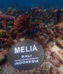 Melia Bali Resort collaborates with conservation foundation to help restore coral reefs