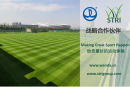 STRI Group and WANDA CTI agree facility development alliance for the Chinese sports market